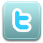 Twitter Icon